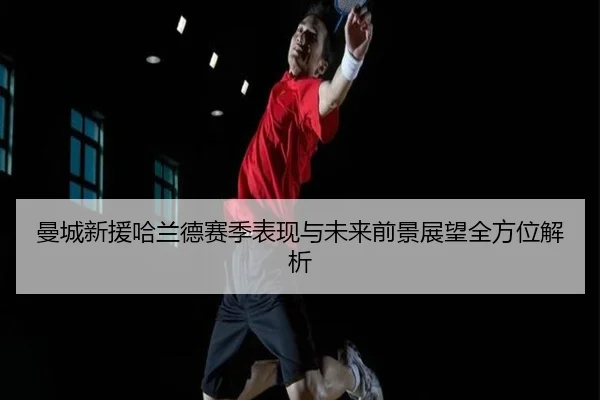 曼城新援哈兰德赛季表现与未来前景展望全方位解析