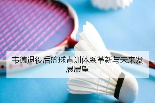韦德退役后篮球青训体系革新与未来发展展望