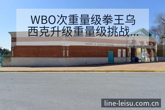 WBO次重量级拳王乌西克升级重量级挑战历史表现复盘 - 雷速官方网址