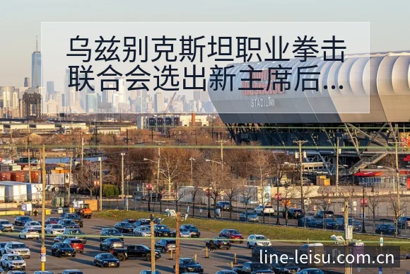 乌兹别克斯坦职业拳击联合会选出新主席后的风险与挑战观察 - 雷速官方网址