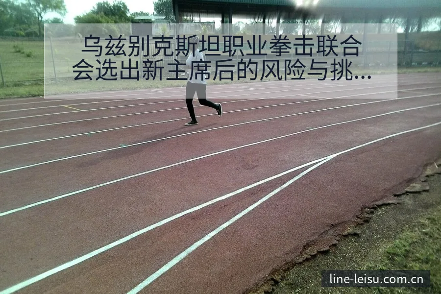 乌兹别克斯坦职业拳击联合会选出新主席后的风险与挑战观察 - 雷速官方网址